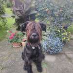 Ersteller:in Kathrin Profilbild