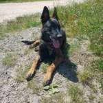 Ersteller:in Charly Profilbild