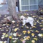 Ersteller:in Mareike Profilbild