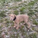 Ersteller:in Eik Profilbild