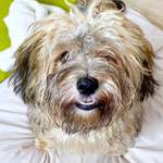 Ersteller:in Julia Profilbild