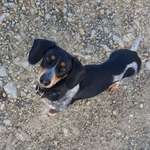 Ersteller:in Sandra Profilbild