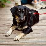 Ersteller:in Marcel Profilbild