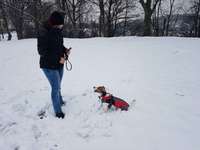 Hundeauslaufgebiet-Protschenberg-Bild