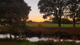 Hundeauslaufgebiet-An der Bäke-Bild