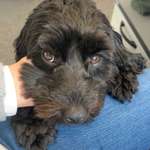 Ersteller:in Antje Profilbild