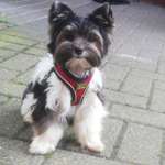 Ersteller:in Emily Profilbild