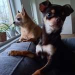 Ersteller:in Clarissa Profilbild