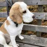 Ersteller:in Andrea Profilbild