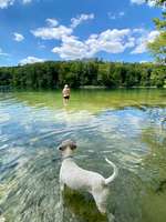 55. Handy Foto Challenge - von hinten, Blick in die Ferne-Beitrag-Bild