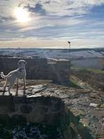 55. Handy Foto Challenge - von hinten, Blick in die Ferne-Beitrag-Bild