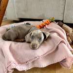 Ersteller:in Friederike Profilbild