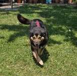 Suchmeldung-Sandy-Bild