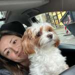 Ersteller:in Manuela Profilbild