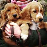 Ersteller:in Nora Profilbild