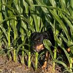 Ersteller:in Birgit Profilbild