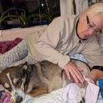 Ersteller:in Anke Profilbild