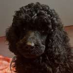 Ersteller:in Kai Profilbild