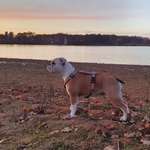 Ersteller:in Wolken Profilbild