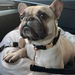 Ersteller:in Chantal Profilbild