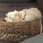 Ersteller:in Bahar Profilbild