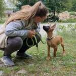 Ersteller:in Dunja Profilbild