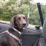 Ersteller:in Harald Profilbild