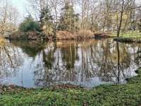 Hundeauslaufgebiet-Stadtpark-Bild