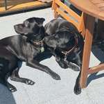 Ersteller:in Saskia Profilbild