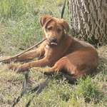 Ersteller:in Nicole Profilbild