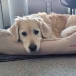 Ersteller:in ELKE Profilbild