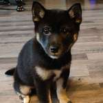 Ersteller:in QL Profilbild