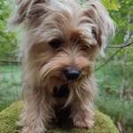 Ersteller:in R Profilbild