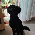 Ersteller:in Sir Profilbild