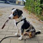 Ersteller:in Simone Profilbild