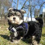 Ersteller:in Mandy Profilbild