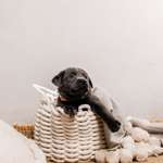 Ersteller:in Yvonne Profilbild