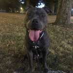 Ersteller:in Dennis Profilbild