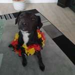 Ersteller:in Franzi Heppner Profilbild