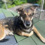 Ersteller:in Vivien Profilbild