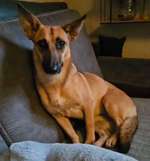 Suchmeldung-Clea-Bild