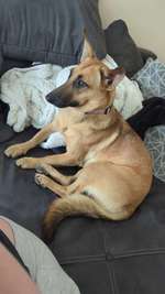 Suchmeldung-Clea-Bild