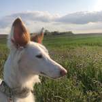 Ersteller:in Merle Profilbild