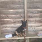 Ersteller:in Patrick Profilbild