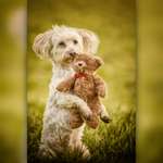 Ersteller:in Laura Profilbild