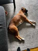 Allergische Reaktion am ganzen Körper-Beitrag-Bild