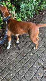 Allergische Reaktion am ganzen Körper-Beitrag-Bild