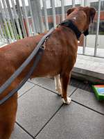 Allergische Reaktion am ganzen Körper-Beitrag-Bild