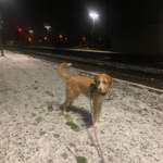 Ersteller:in Jenny Profilbild