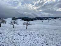 Hundeauslaufgebiet-Najenriet-Bild